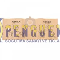 Arnica Yıkamalı Astarlı Kağıt Toz Torbası 5'li Paket