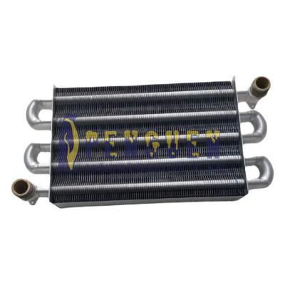 Viessman Vitopend 100 Kombi Ana Eşenjör